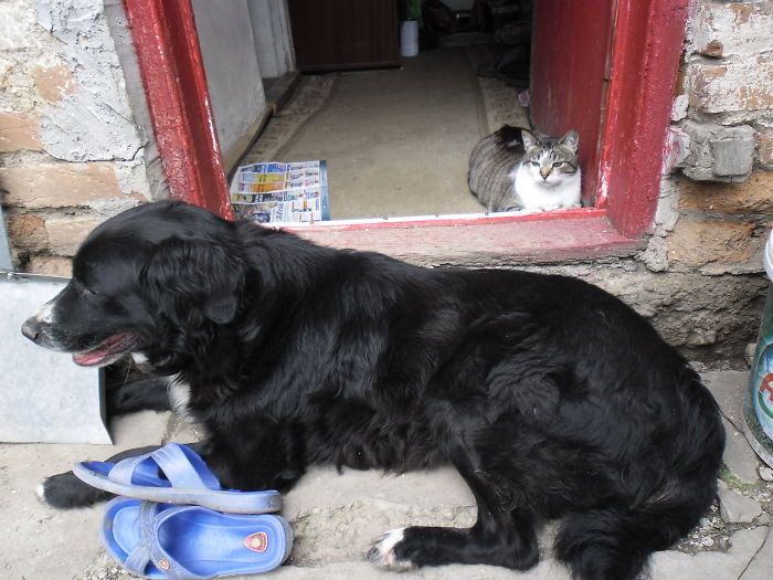 Mica & Gino, My Precious Kids