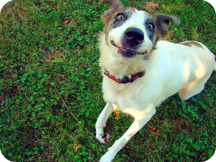 1...2...3... Say Cheese!