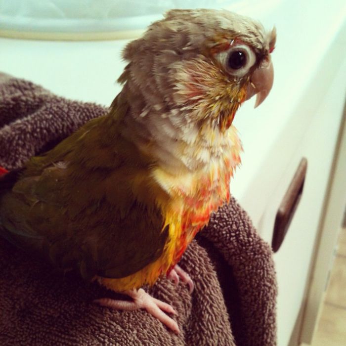 Fresh Out Of The Bath.