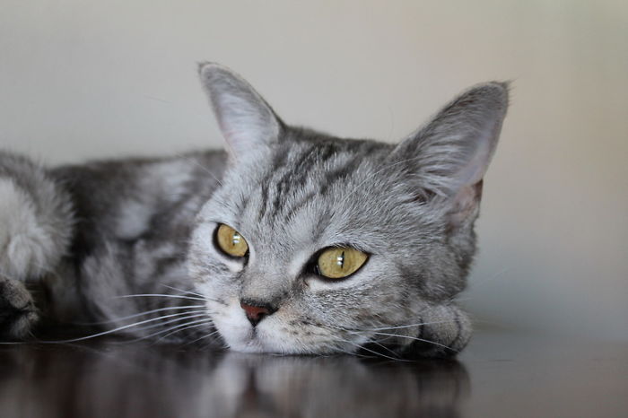 Mollyzinha From Portugal :)