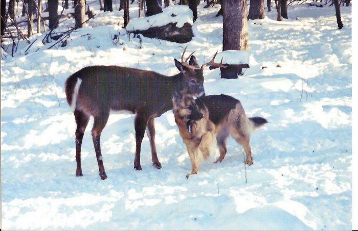 Love Is All That Really Matters.