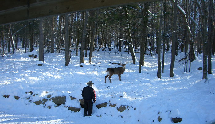 Deer Whisperer
