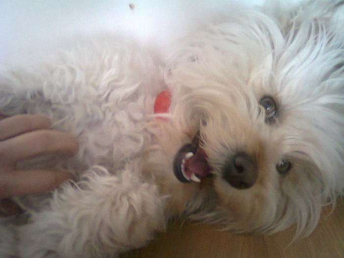 My Name Is Memol...be Happy Always :)