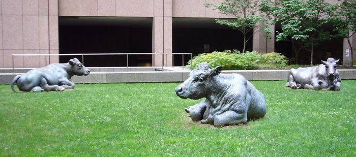 "cows" Oscar Peterson Square Toronto, Canada