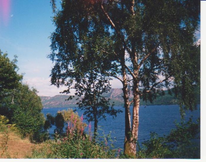 On The Grounds Of Urquhart Castle