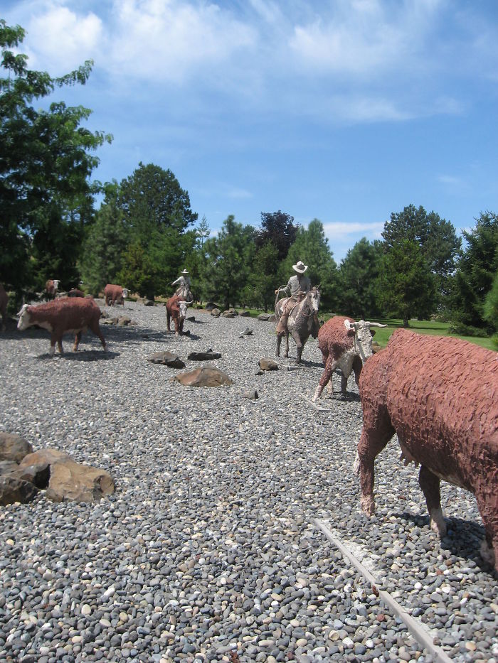 Cattle Drive - Pendleton, Oreong