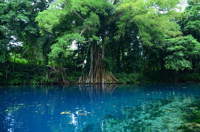 Vanuatu, Matevulu Blue Hole, Espiritu Santo Island (It's Me On The Rope Swing)