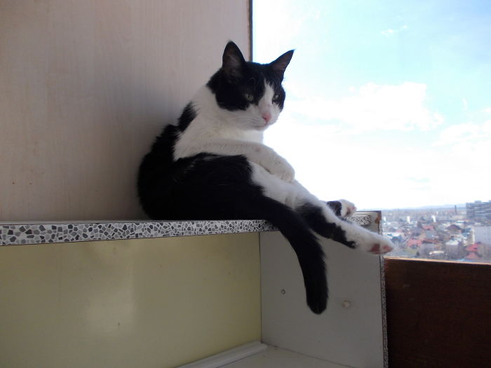 To Be...or Not To Be.