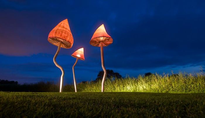 Michal Trpak (czech Republic)