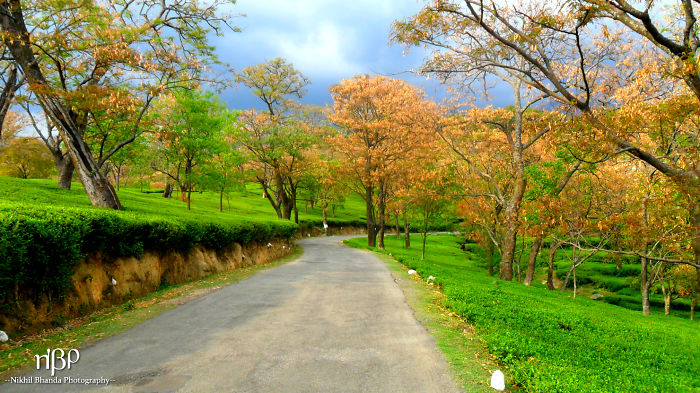Dharamshala (hp), India