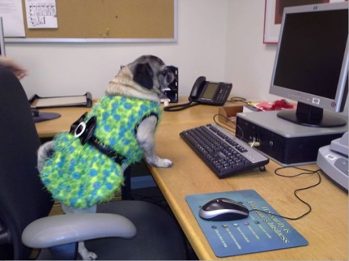 Must Fill Out The Tps Report...