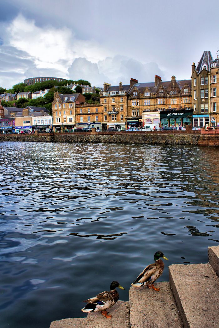 All Ashore In Oban (derick Gray)