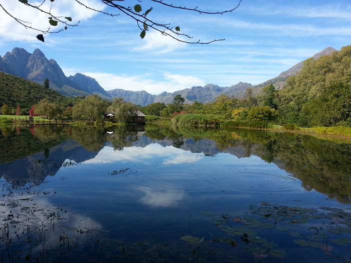 Landscape Reflection