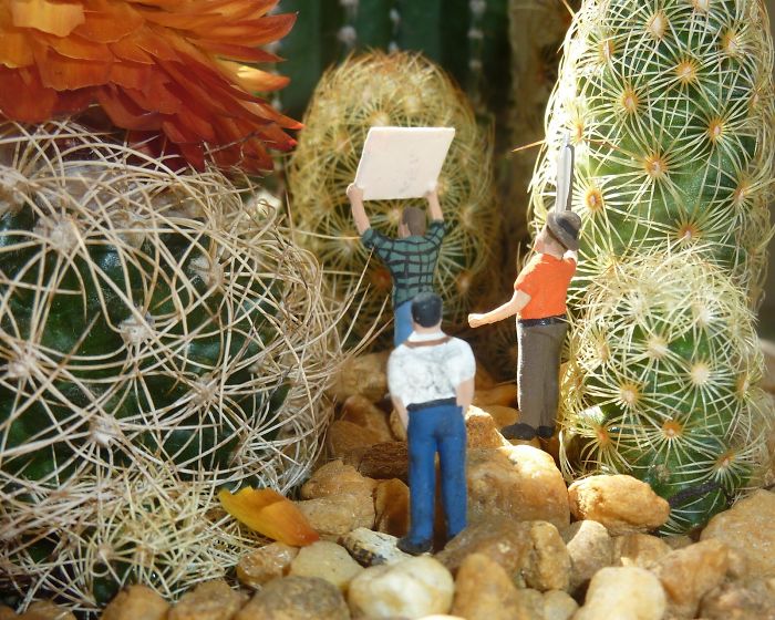 Strike On The Rocks. Florida. Iphone 4s