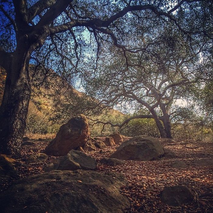 Instagram @iamsikora