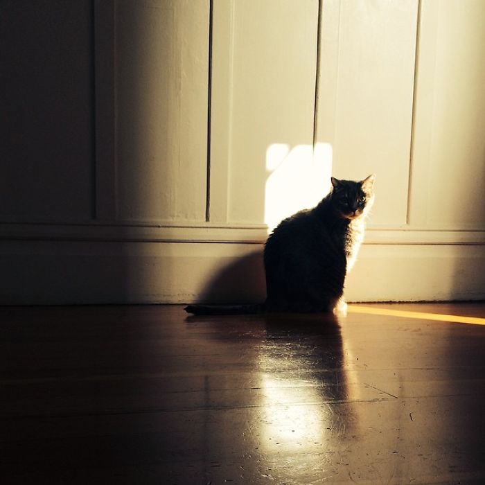 Instagram @iamsikora