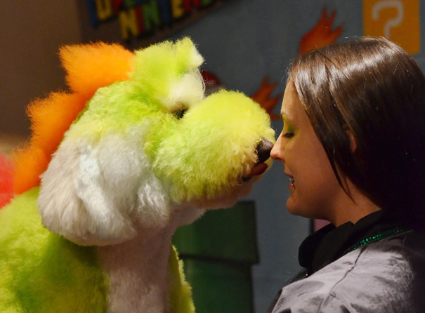 21 Creatively Groomed Dogs To Make You Smile 21 Creatively Groomed Dogs To Make You Smile