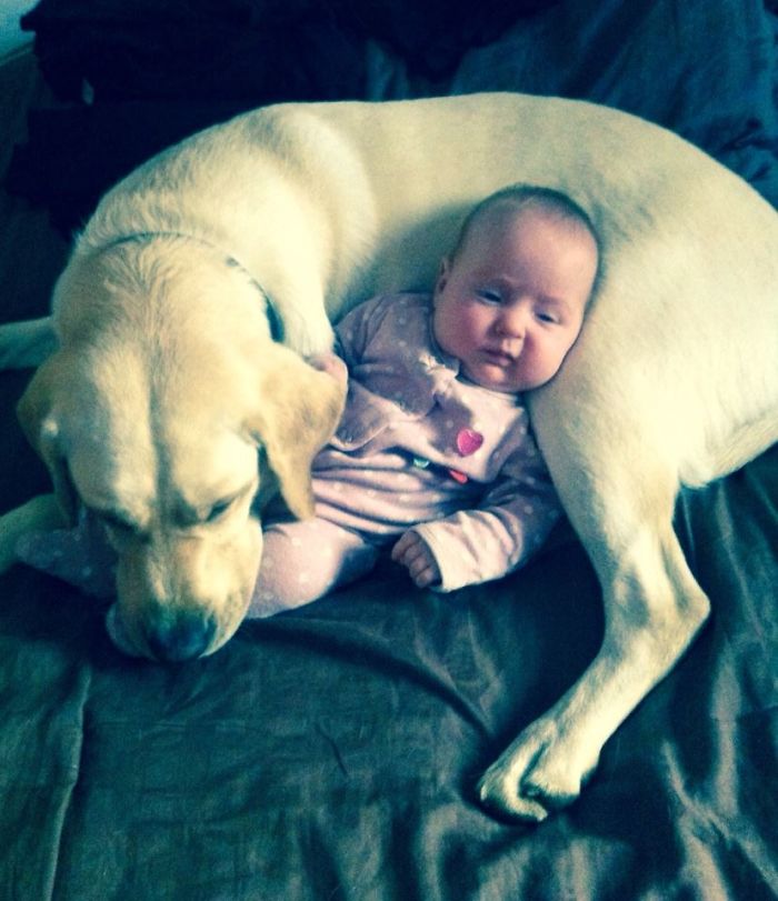 They Love Napping Together :)