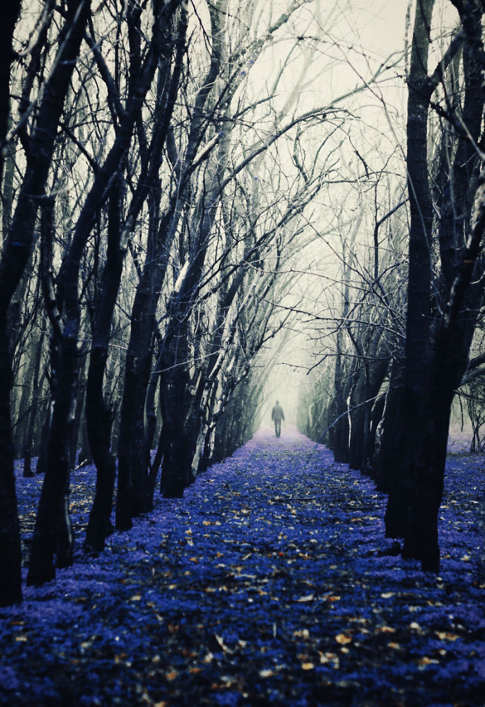 Blue Encounters Of The World In Photography And Photo-manipulation