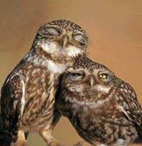 britine.mccorkle avatar