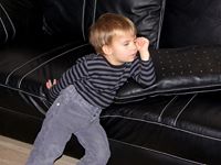 stoicho.nikiforov avatar