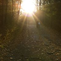 ejacob-cornelius avatar