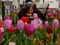 elisa.braunstein.7 avatar