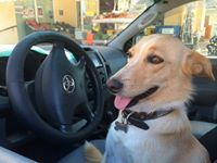 vassilios.dimitrakakis avatar