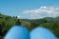 adriana.ciobanu avatar