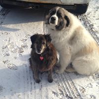 carolyn.edel.16 avatar