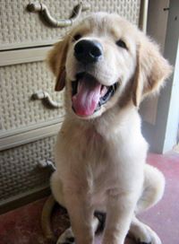 reinhard.boos.1 avatar