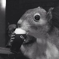 53d08544a4bd8 avatar