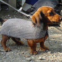 michecampbell avatar