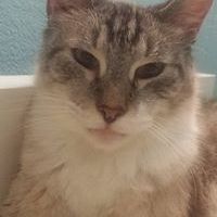 connie.sunga.7 avatar