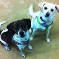 ursula.b.hutchinson avatar