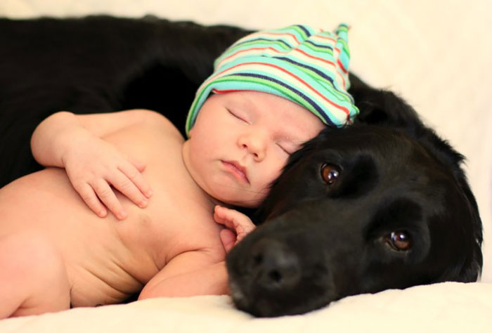 Share Pictures Of Kids And Their Big Dogs