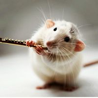 Gracethesmileyface avatar