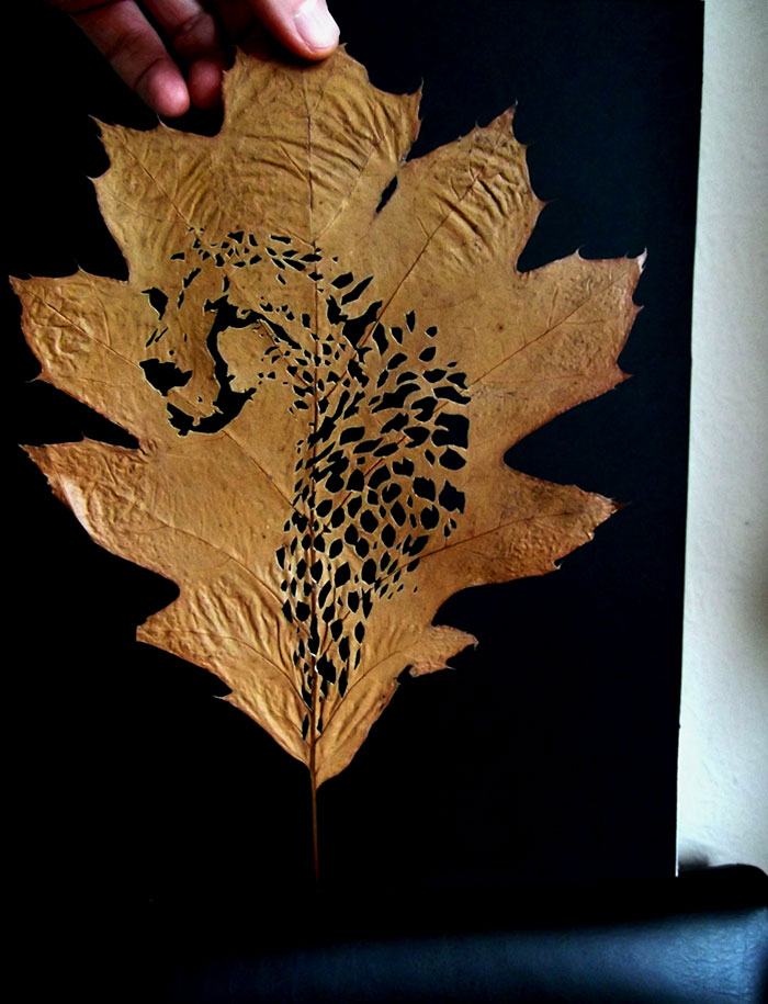 leaf-cutting-omid-asadi-5 leaf-cutting-omid-asadi-5