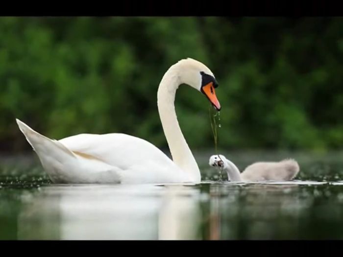 How You Really Drink Water