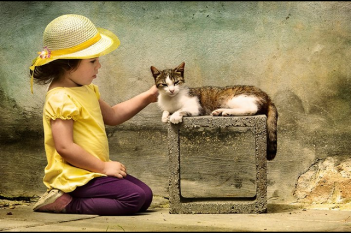 Romania- By Anca Iacob