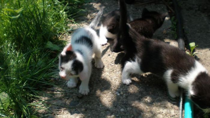 Discovering The World