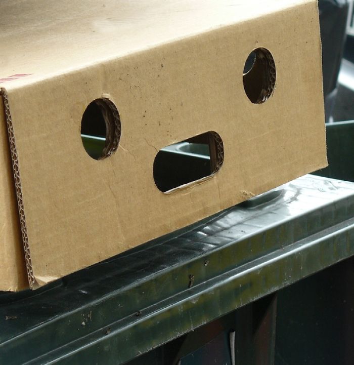 Box About To Be Trashed..scared