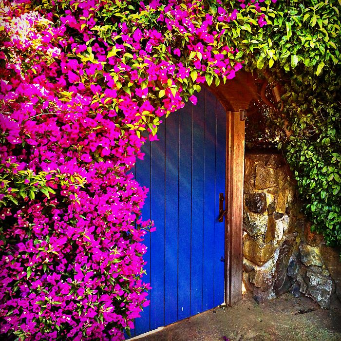 The Blue Door