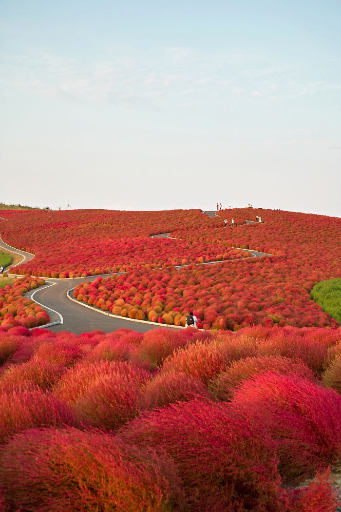 Hitachi Park