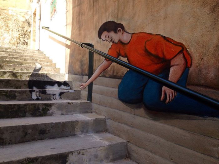 The Maltese Cat In Mellieha, Malta