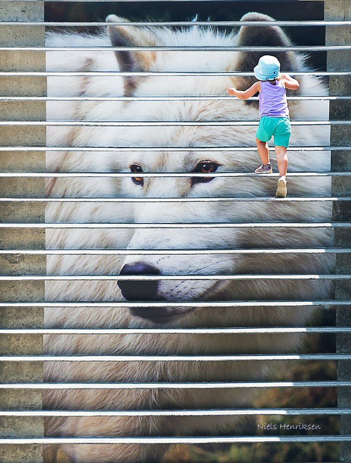 The Wolf And The Girl (ottawa)