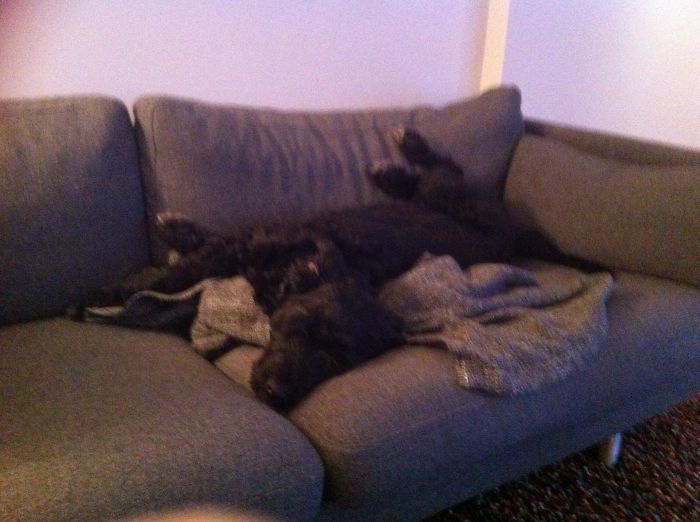 How Can You Possibly Sleep Like That?