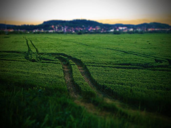 4s Crop Tracks