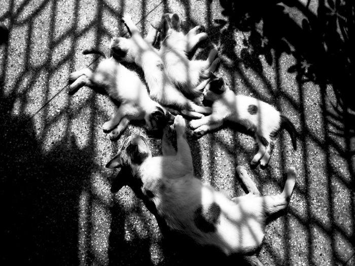 Sleep Like There Is No Tomorrow