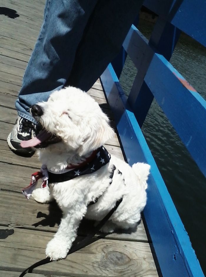 Ralph Is So Happy, He Even Yawns Happy.